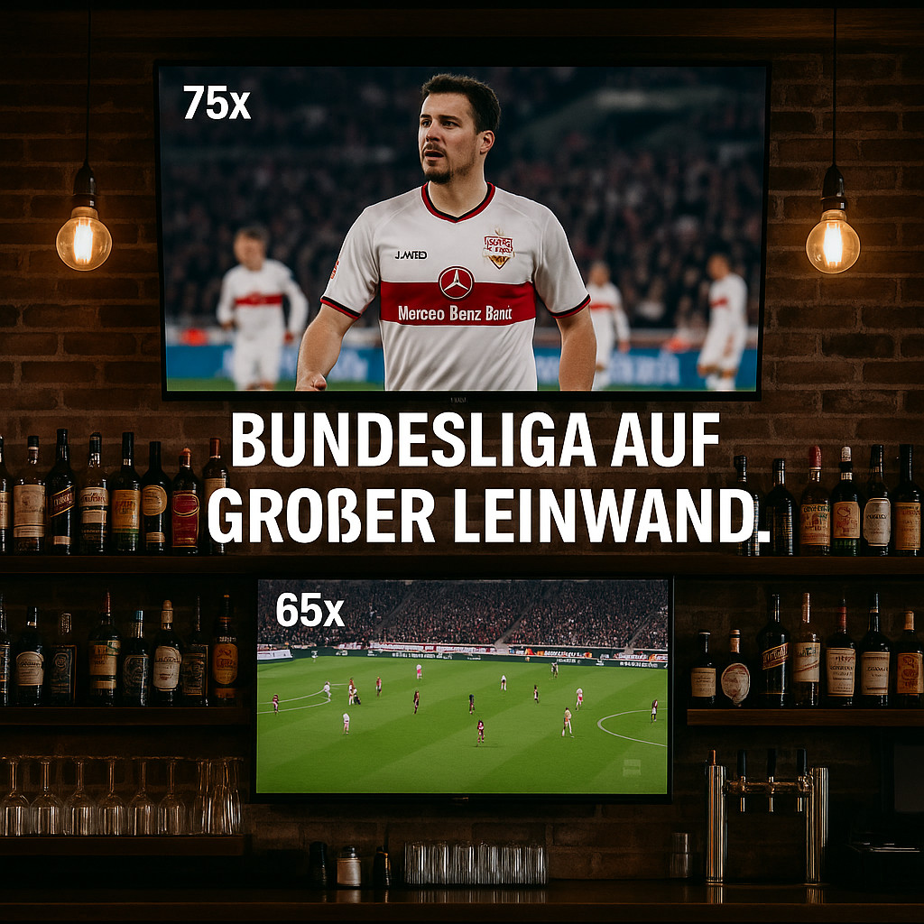 Fernseher
